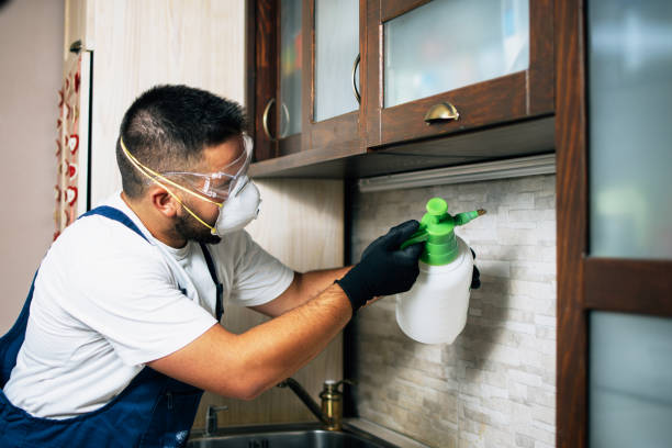 Wasp Removal Services in East Rockaway, NY