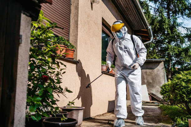 Best Wasp Removal Services  in East Rockaway, NY