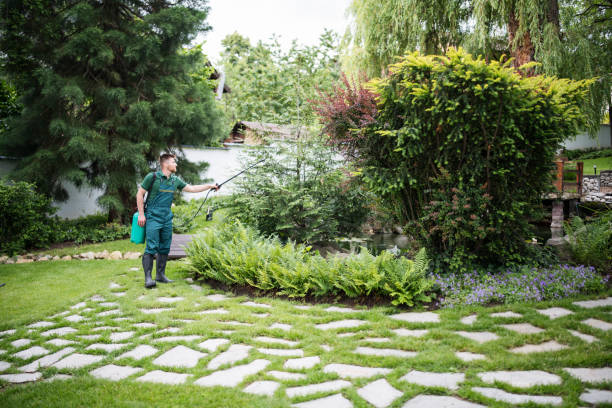 Trusted East Rockaway, NY Pest Control Experts