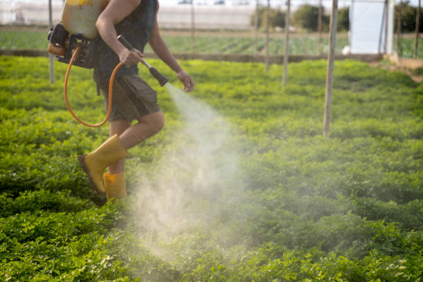 Best Best Pest Control Companies  in East Rockaway, NY