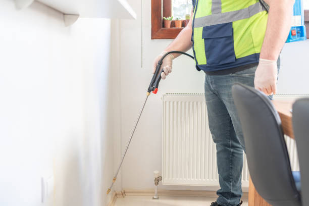 Best Pest Control Near Me  in East Rockaway, NY