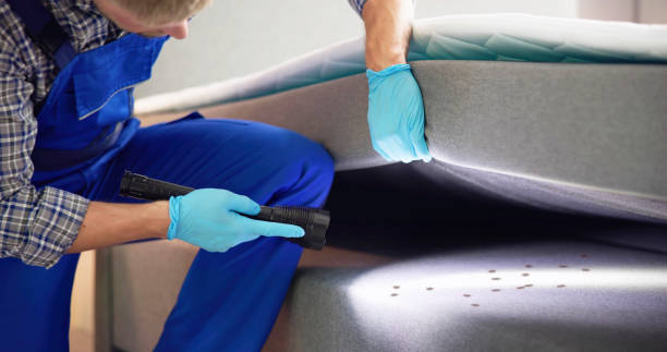 Best Rat Extermination Near Me  in East Rockaway, NY
