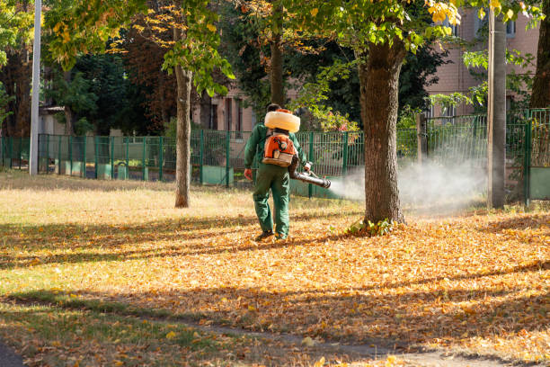 Best Mosquito Control Services  in East Rockaway, NY
