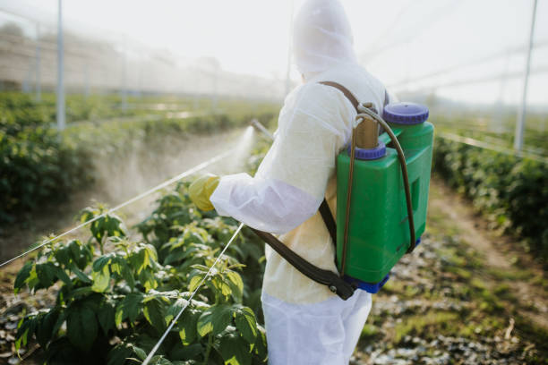 Best Pest Prevention Services  in East Rockaway, NY